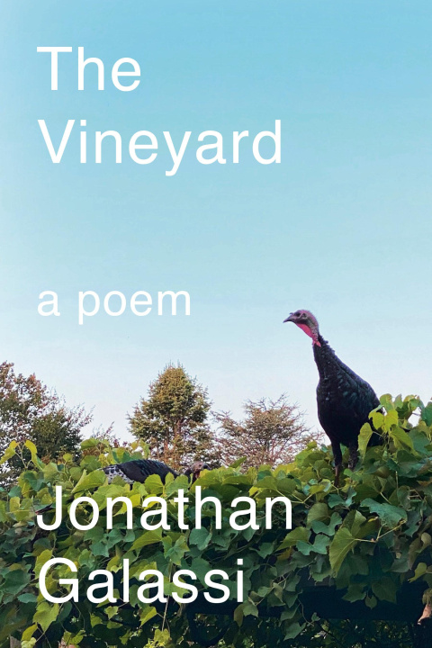 Knjiga The Vineyard GALASSI JONATHAN