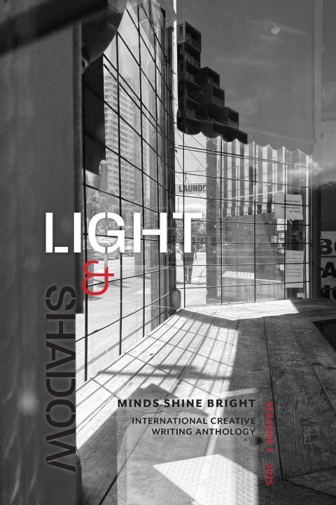 Kniha Light and Shadow 
