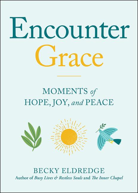 Kniha Seeking Grace 