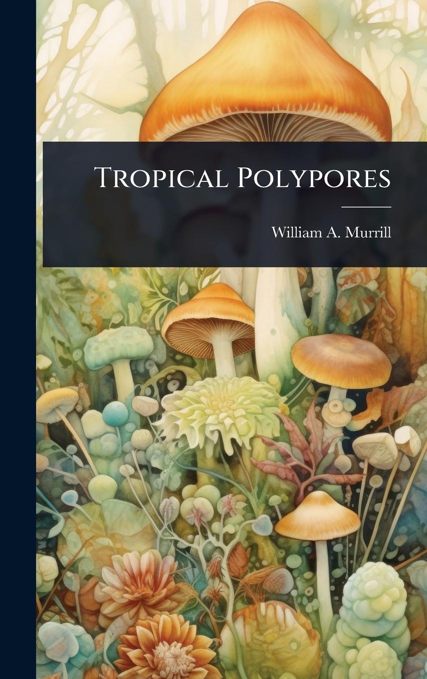 Kniha Tropical Polypores 