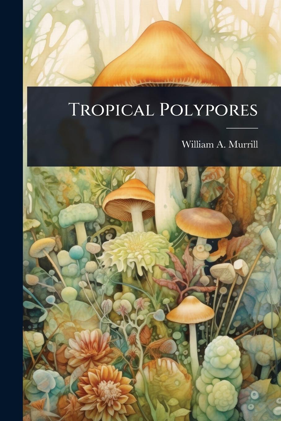 Kniha Tropical Polypores 