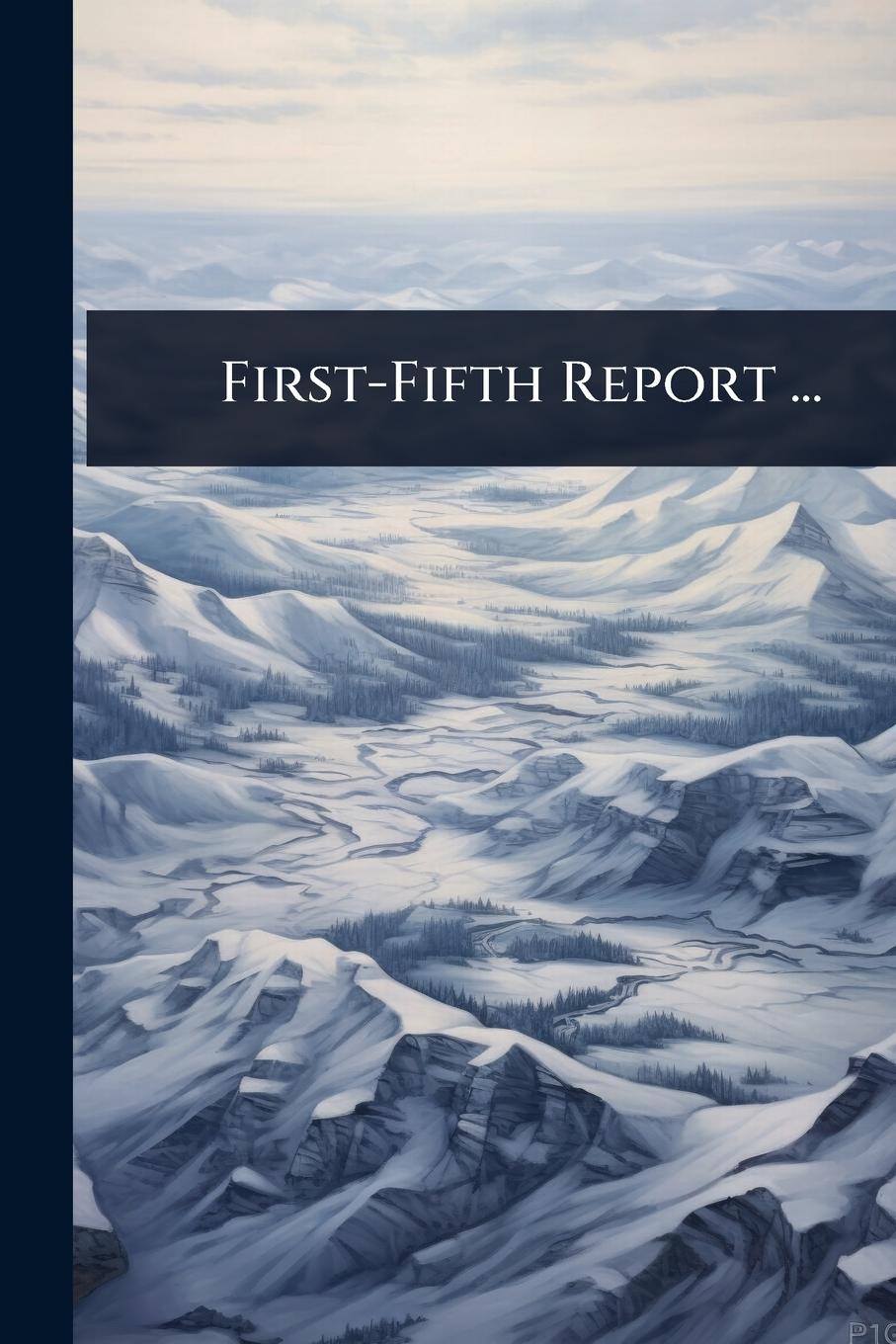 Kniha First-Fifth Report ... 