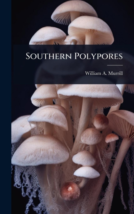 Kniha Southern Polypores 