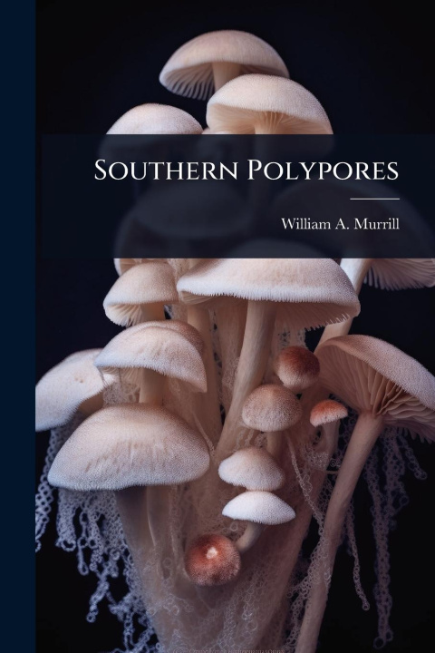 Kniha Southern Polypores 