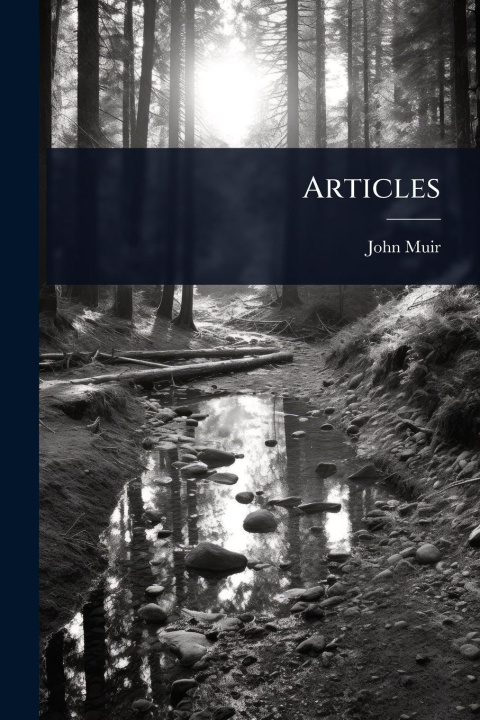 Knjiga Articles 