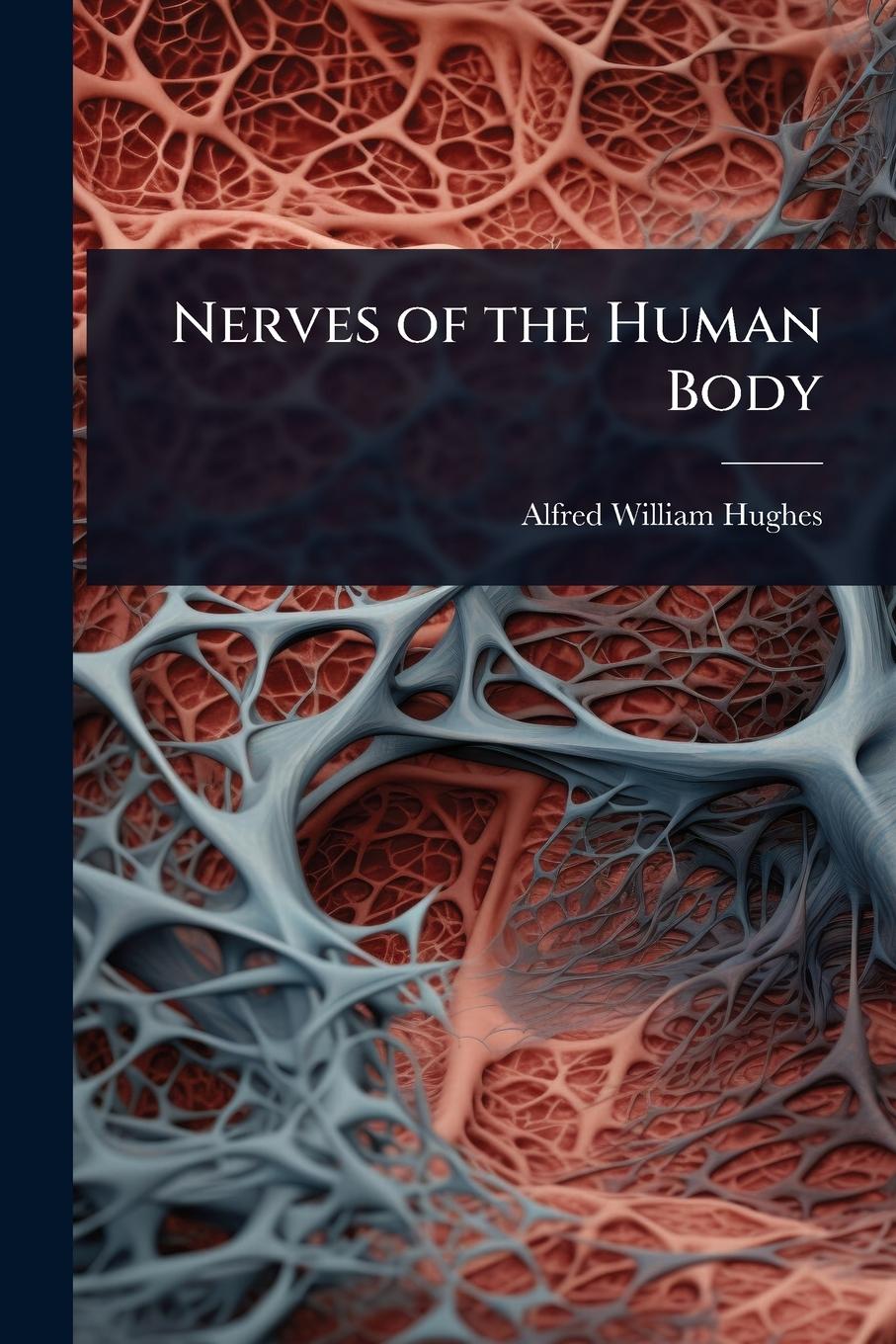 Kniha Nerves of the Human Body 