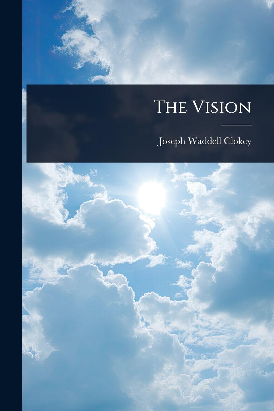 Kniha The Vision 