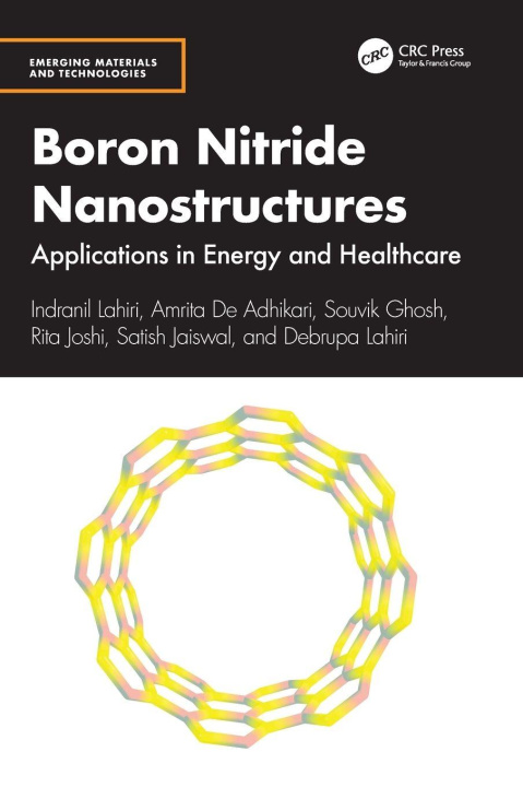 Kniha Boron Nitride Nanostructures Debrupa Lahiri