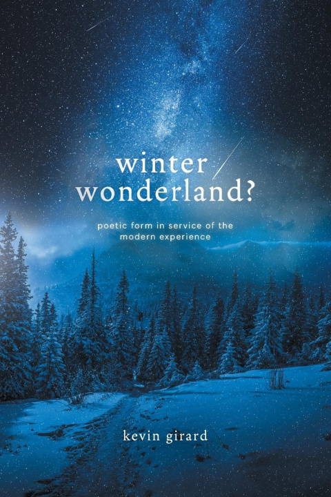 Kniha Winter Wonderland? 