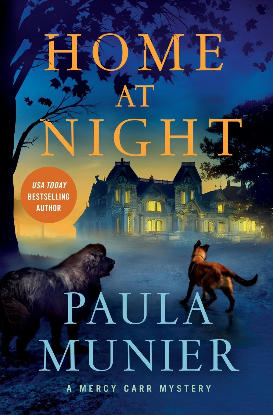 Kniha Home at Night PAULA MUNIER