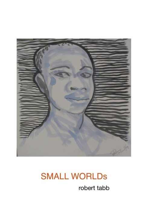 Kniha SMALL WORLDs Robert Tabb