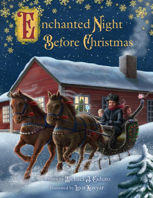 Kniha Enchanted Night Before Christmas Caduto