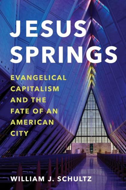 Kniha Jesus Springs William J. Schultz