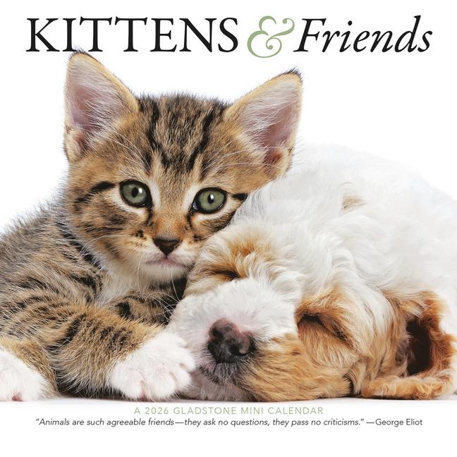 Kalendář/Diář Kittens & Friends 