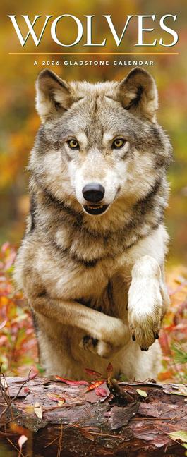 Naptár/Határidőnapló Wolves 