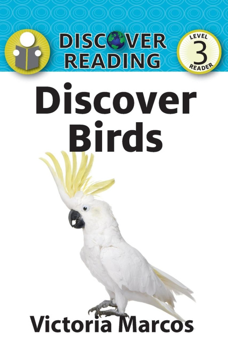 Kniha Discover Birds 