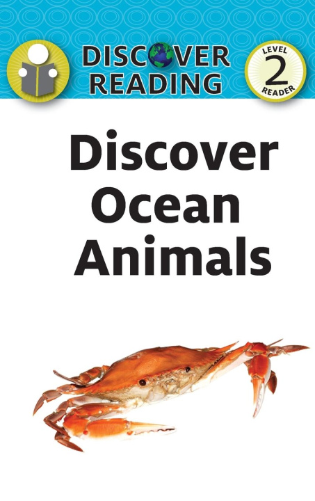Kniha Discover Ocean Animals 