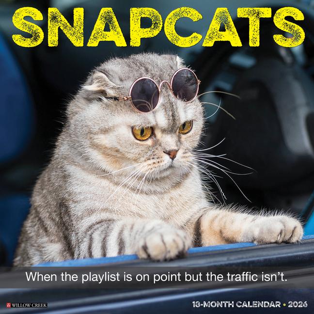 Knjiga Snapcats 2026 12 X 12 Wall Calendar 