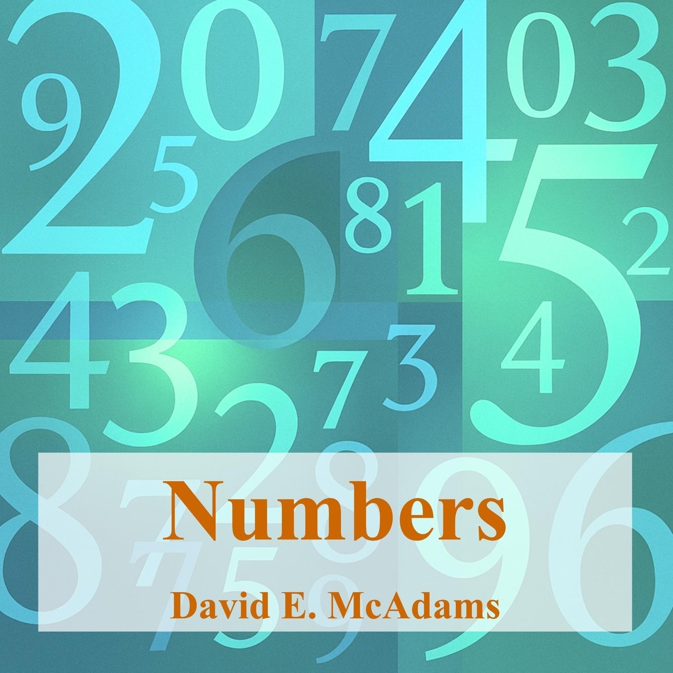 Kniha Numbers David E McAdams