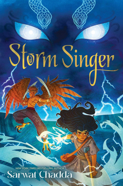 Kniha Storm Singer Virginia Allyn