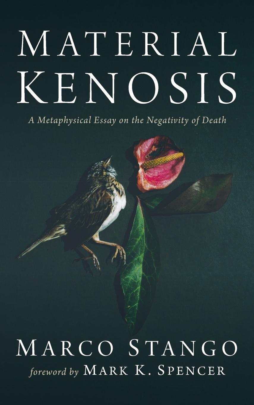 Kniha Material Kenosis 