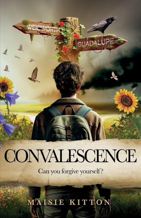 Kniha Convalescence Maisie Kitton