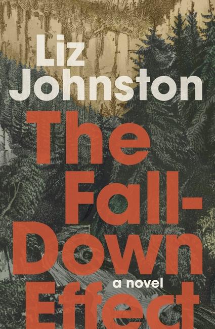 Knjiga The Fall-Down Effect 
