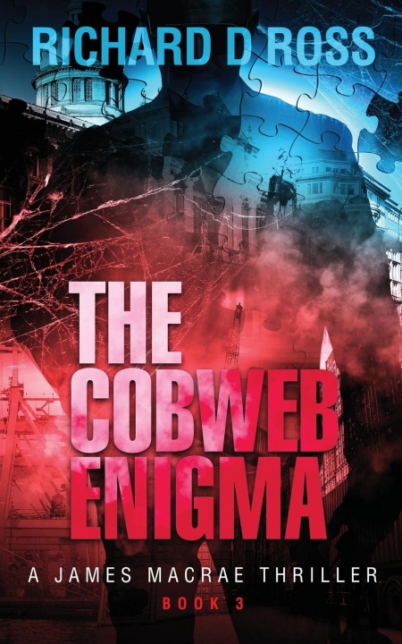 Kniha The Cobweb Enigma Richard D Ross