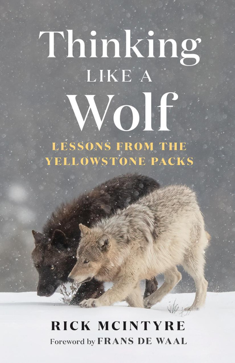 Carte Thinking Like a Wolf Rick McIntyre