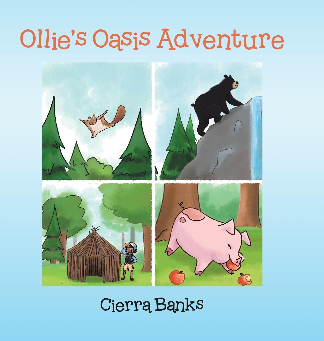 Buch Ollie's Oasis Adventure 