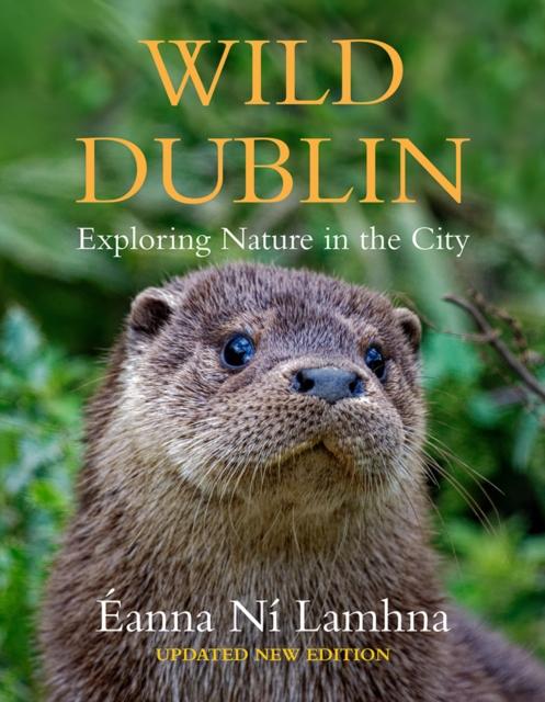 Kniha Wild Dublin David Daly