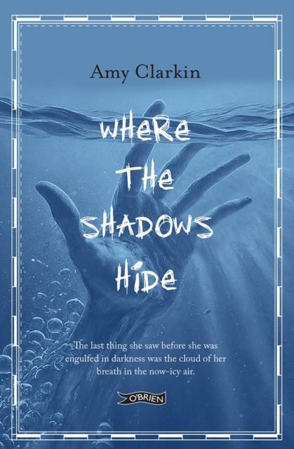 Kniha Where the Shadows Hide Amy Clarkin