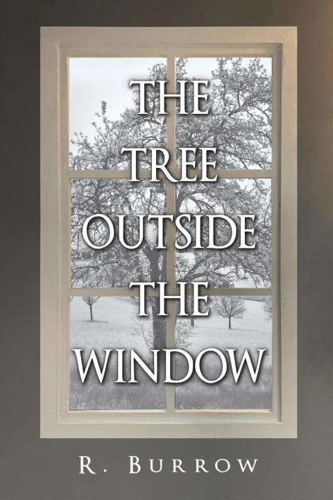 Kniha The Tree Outside the Window R. Burrow