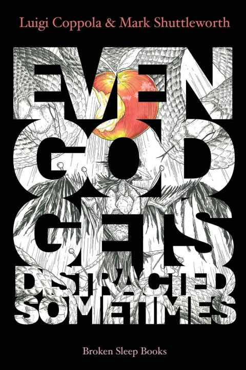 Kniha Even God Gets Distracted Sometimes Mark Shuttleworth