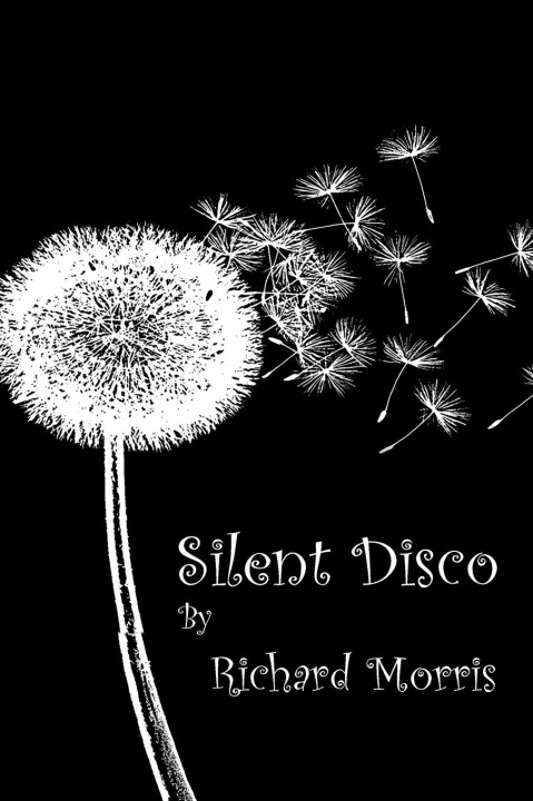 Kniha Silent Disco 
