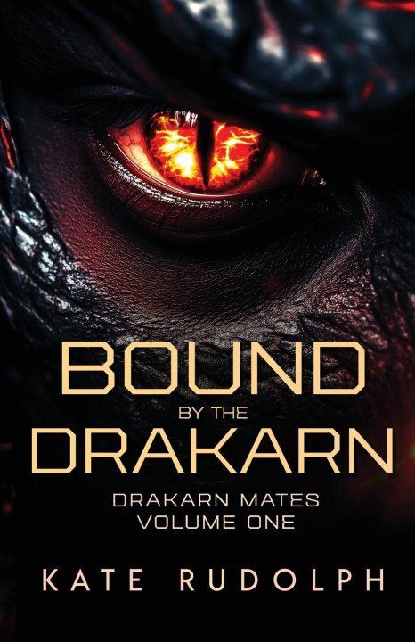 Boek Bound by the Drakarn 