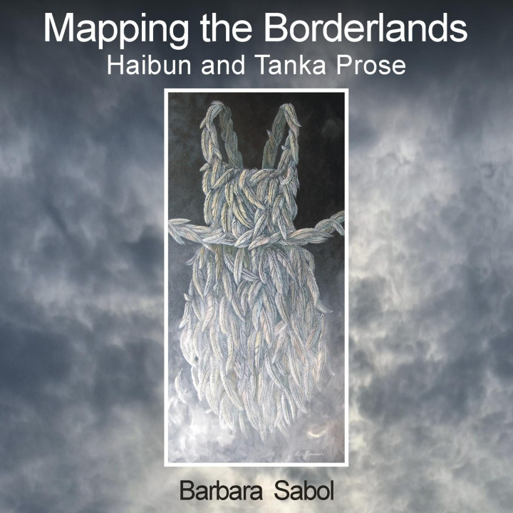 Kniha Mapping the Borderlands Hayley Haugen