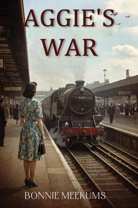 Kniha Aggie's War 