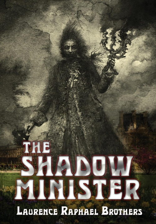 Kniha The Shadow Minister 