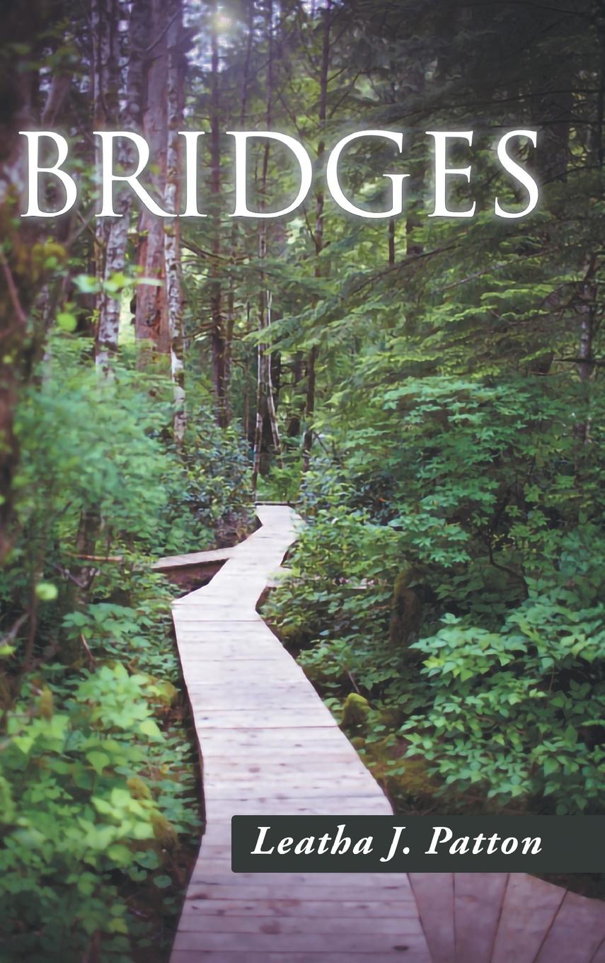 Kniha Bridges 