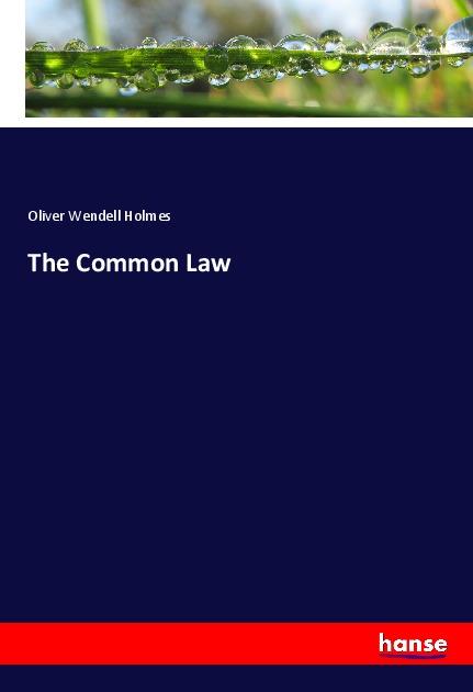 Knjiga The Common Law Oliver Wendell Holmes