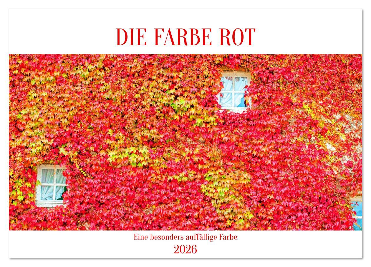 Kalendár/Diár DIE FARBE ROT (Wandkalender 2026 DIN A4 quer), CALVENDO Monatskalender Calvendo