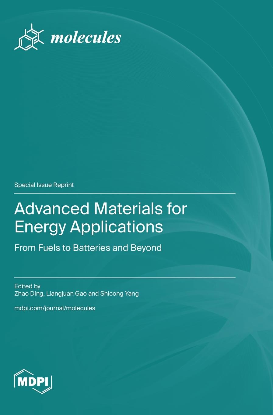 Buch Advanced Materials for Energy Applications 
