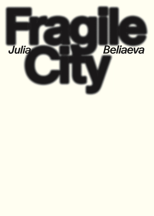Book Fragile City Alfred Weidinger