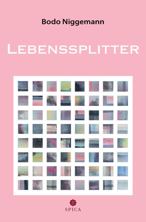 Kniha Lebenssplitter Bodo Niggemann