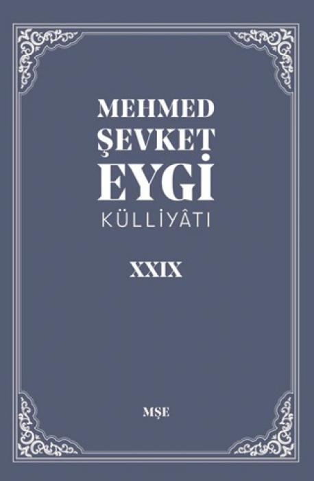 Buch Mehmet Sevket Eygi Külliyati 29 