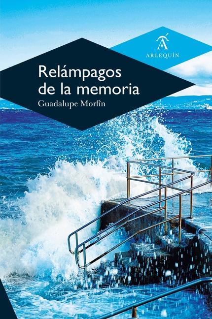 Buch Relámpagos de la memoria 