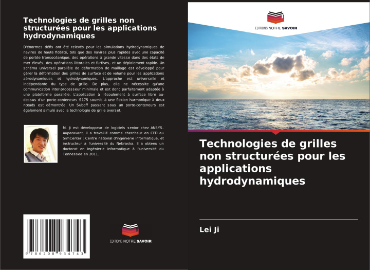 Buch Technologies de grilles non structurées pour les applications hydrodynamiques Lei Ji