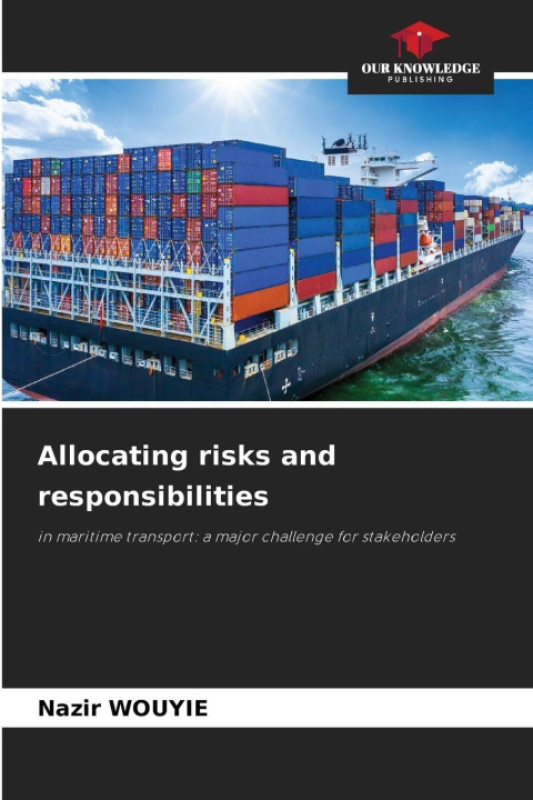 Kniha Allocating risks and responsibilities Nazir WOUYIE