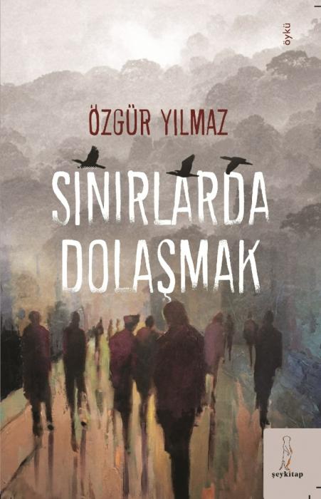 Kniha Sinirlarda Dolasmak 